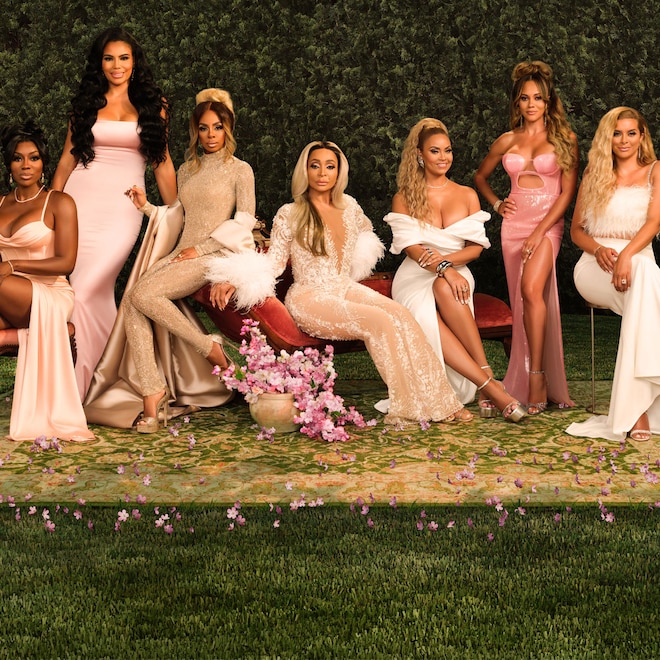 The Real Housewives of Potomac Season 8 Cast Photos